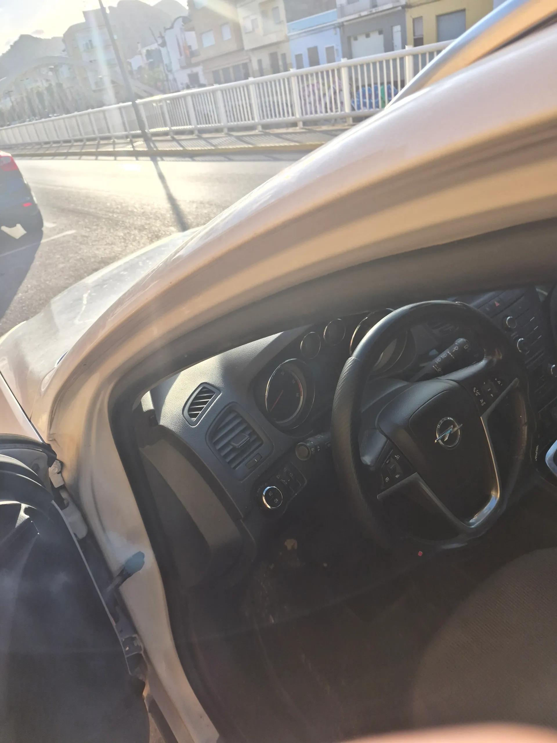 Opel Insignia 2010 de segunda mano